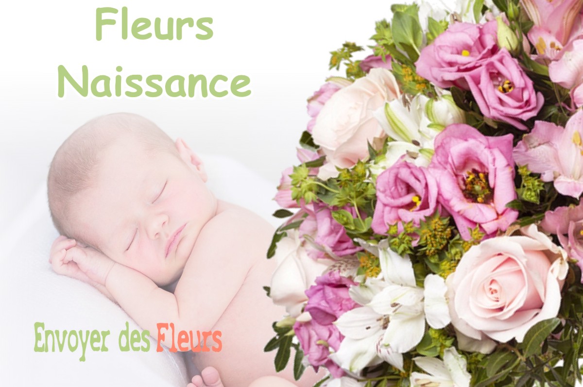 lIVRAISON FLEURS NAISSANCE à SAINT-MARTIN-DU-TARTRE